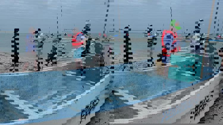 imagen-cuerpo imagen-cuerpo