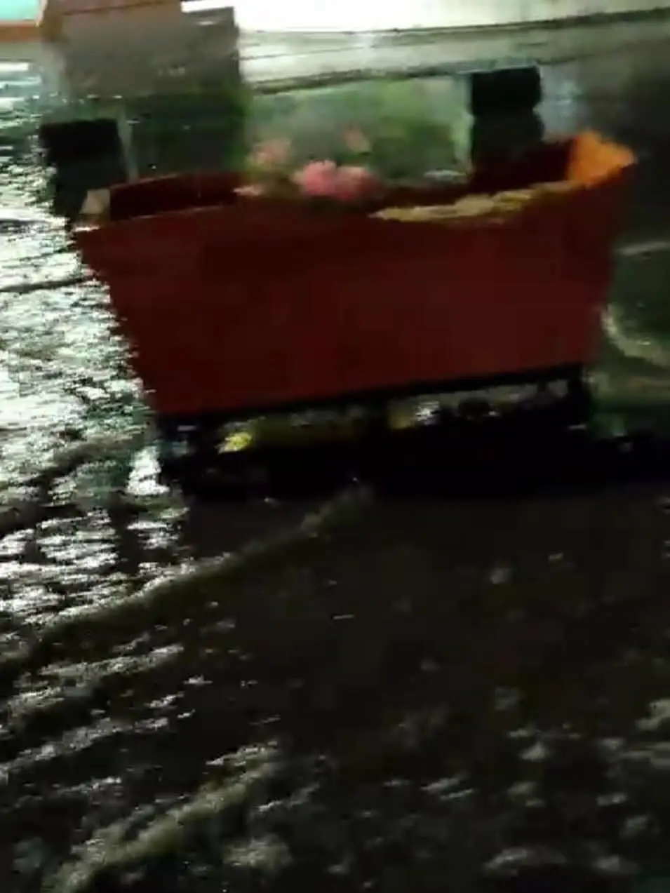 imagen recuadro Macetera del Malecón de La Paz, siendo arrastrada por el agua que dejó las lluvias de este jueves. Foto: cortesía.