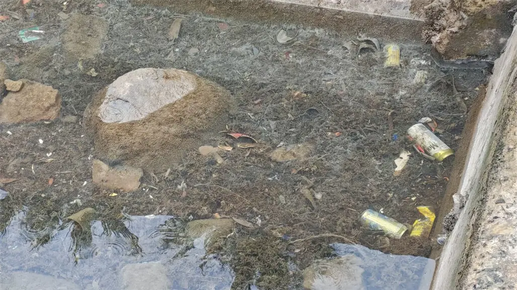 Ciudadanos denuncian basura en el mar en el malecón de La Paz