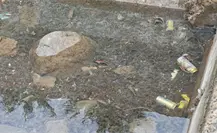 Ciudadanos denuncian basura en el mar en el malecón de La Paz Ciudadanos denuncian basura en el mar en el malecón de La Paz