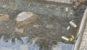 Ciudadanos denuncian basura en el mar en el malecón de La Paz