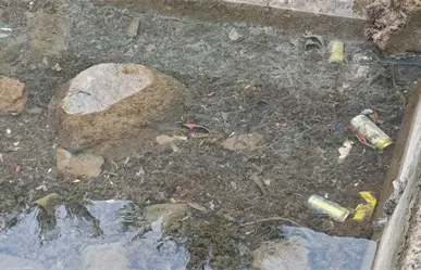 Ciudadanos denuncian basura en el mar en el malecón de La Paz