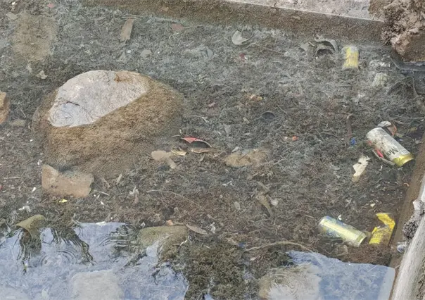 Ciudadanos denuncian basura en el mar en el malecón de La Paz