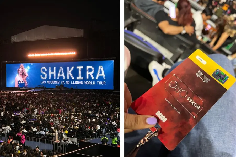 Los conciertos más caros de 2025 en CDMX: ¿cuánto subieron los precios?