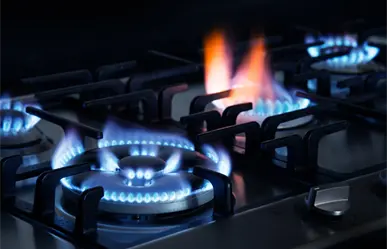 Gas LP en Coahuila: ¿Cuál será el precio del 7 al 13 de diciembre de 2025?