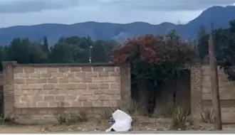 Hombre muere en Saltillo tras ser atropellado en bulevar Valdez Sánchez; responsable huye