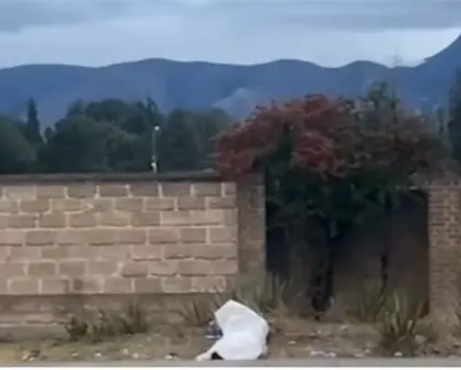 Hombre muere en Saltillo tras ser atropellado en bulevar Valdez Sánchez; responsable huye