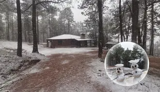 El hotel mejor calificado por TripAdvisor en Durango luce así en invierno