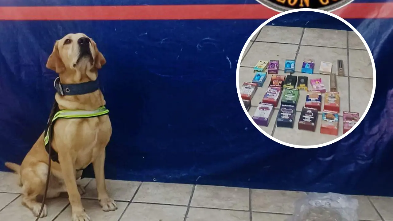 El envío había sido remitido desde Monterrey y tenía como destino una dirección en Gómez Palacio./ Foto: Mando Coordinado Policial de Torreón