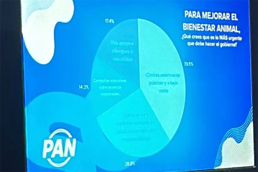 imagen recuadro El objetivo, según la organización, es que quienes participan, desde expertos hasta vecinos. Foto: Jorge López