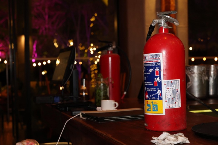 imagen-cuerpo imagen-cuerpo