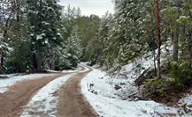 VIDEO | Guanaceví, Durango, registra su segunda nevada del invierno 2025 - 2026 VIDEO | Guanaceví, Durango, registra su segunda nevada del invierno 2025 - 2026