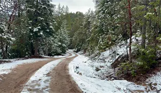 VIDEO | Guanaceví, Durango, registra su segunda nevada del invierno 2025 - 2026