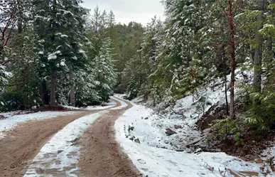 VIDEO | Guanaceví, Durango, registra su segunda nevada del invierno 2025 - 2026