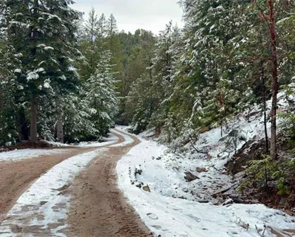 VIDEO | Guanaceví, Durango, registra su segunda nevada del invierno 2025 - 2026