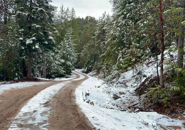 VIDEO | Guanaceví, Durango, registra su segunda nevada del invierno 2025 - 2026