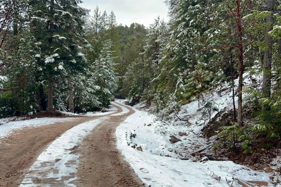 VIDEO | Guanaceví, Durango, registra su segunda nevada del invierno 2025 - 2026