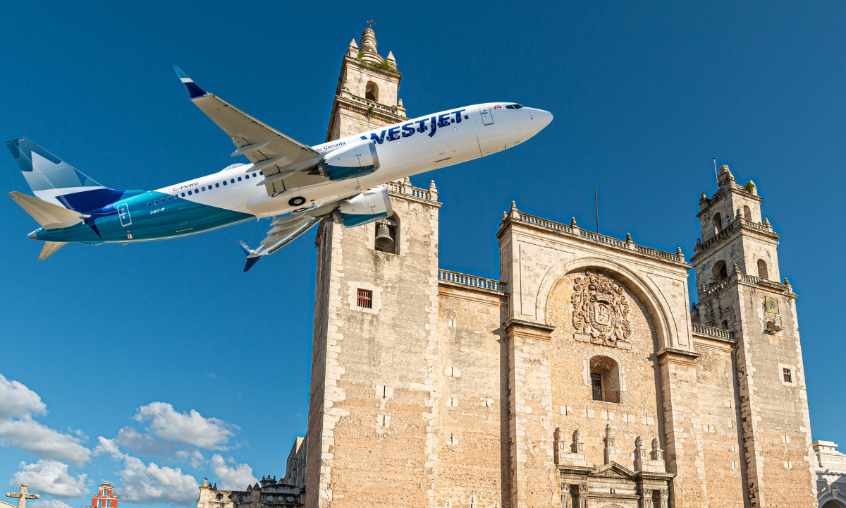 imagen-cuerpo imagen-cuerpo