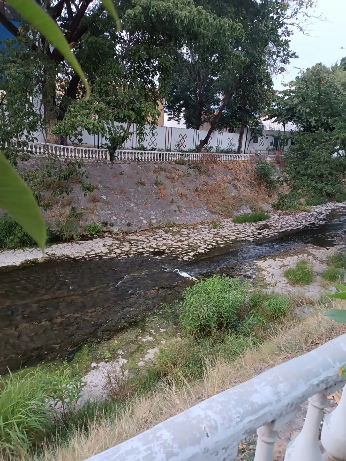 Foto: María Inés Muñoz