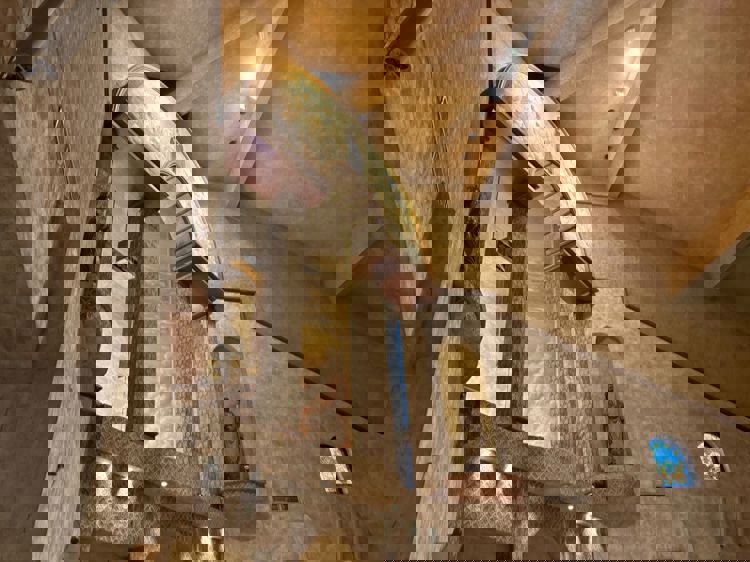 imagen-cuerpo imagen-cuerpo