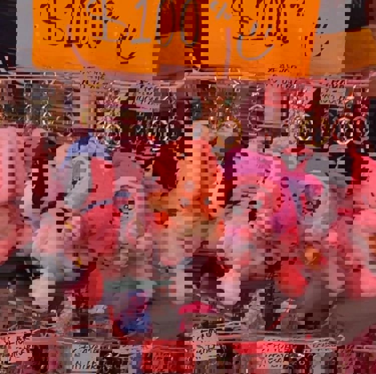 imagen-cuerpo imagen-cuerpo