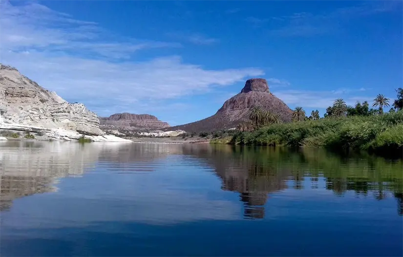 imagen recuadro Foto: Modesto Peralta Delgado / POSTA Baja California Sur