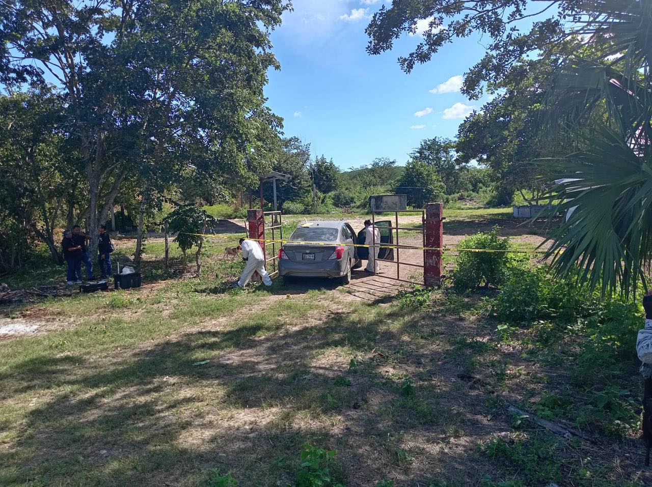 imagen-cuerpo imagen-cuerpo