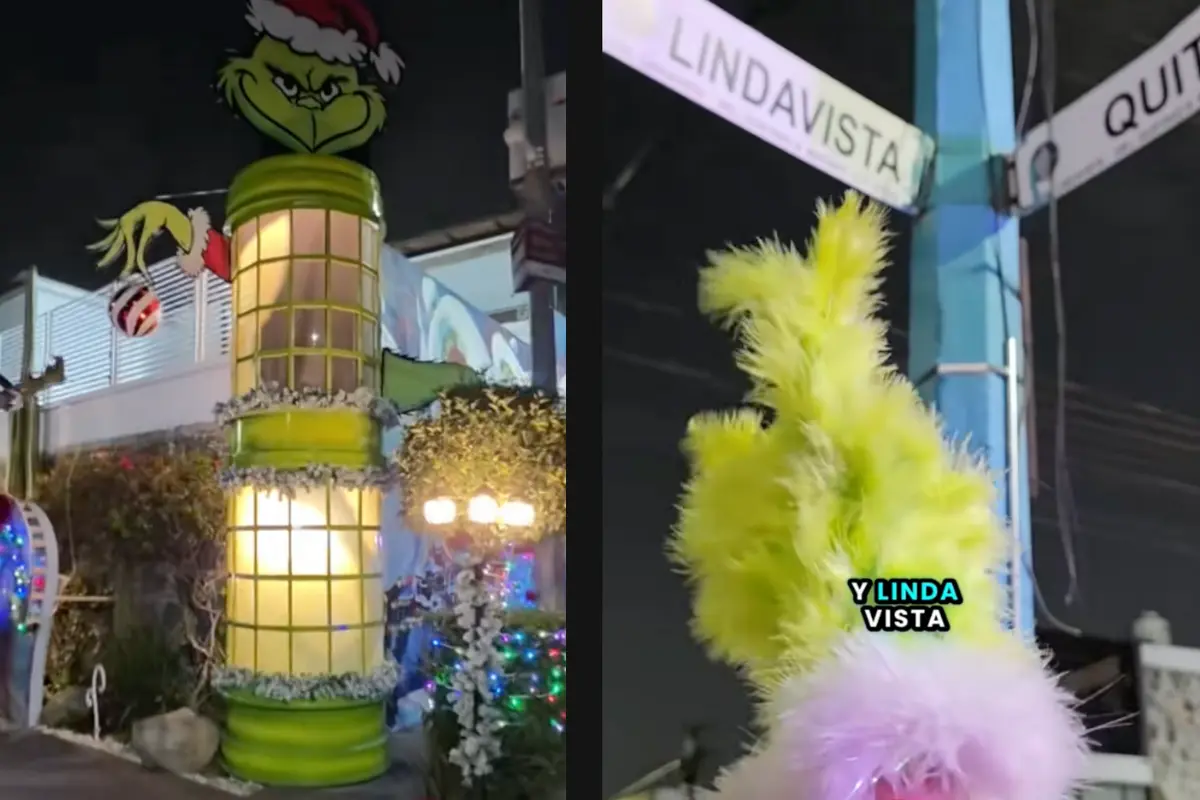 El Grinch se apodera de Lindavista. Foto: Tiktok @tan_lunna