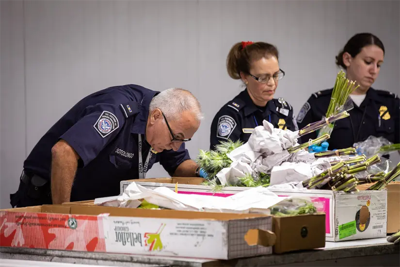 Lo que no puedes cruzar en puentes internaciones con EU. FOTO | Facebook U.S. Customs and Border Protectión 