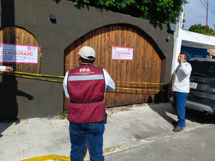 imagen-cuerpo imagen-cuerpo