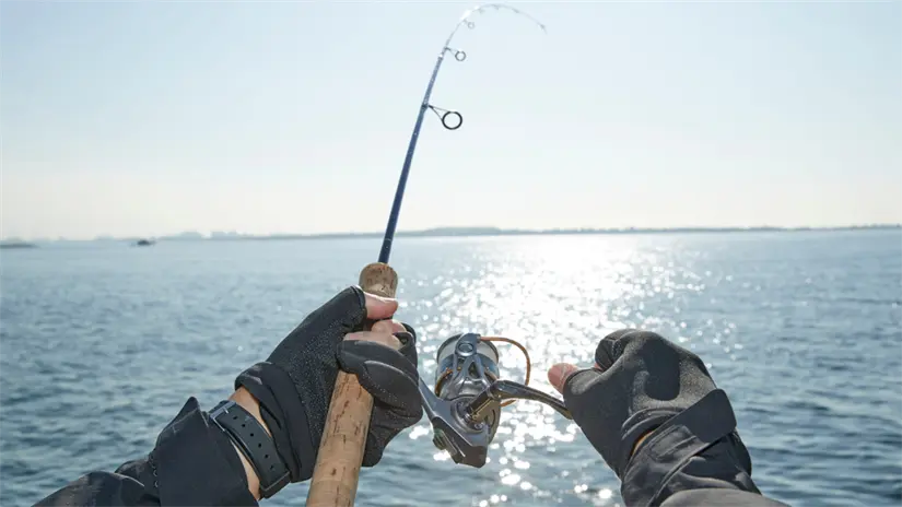 imagen recuadro Foto: Canva.