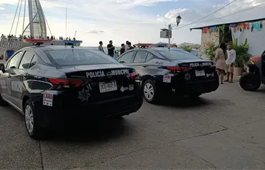 Muere turista tras choque de lancha con ballena en Puerto Vallarta