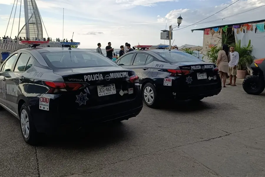 Muere turista tras choque de lancha con ballena en Puerto Vallarta