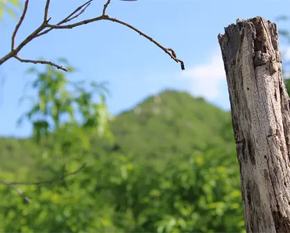 Detienen a presunto homicida en Loreto; lo mat&oacute; en una ri&ntilde;a golpe&aacute;ndolo en la cabeza