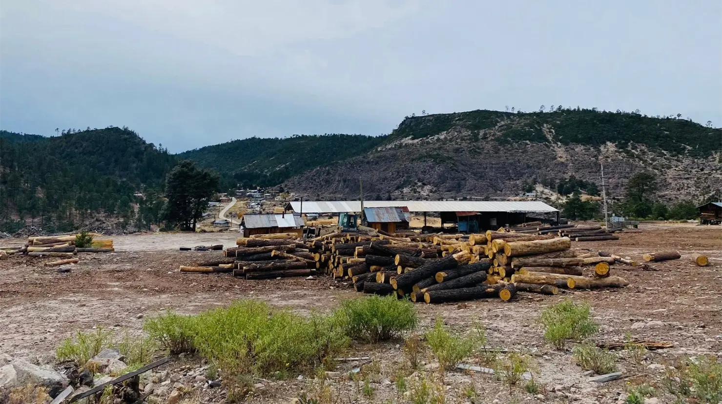 Algunas comunidades de la Sierra de Durango registraron valores bajo cero. Foto: Cebollin Guanaceví.