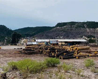 Estos son los 5 lugares más fríos de Durango este 7 de diciembre