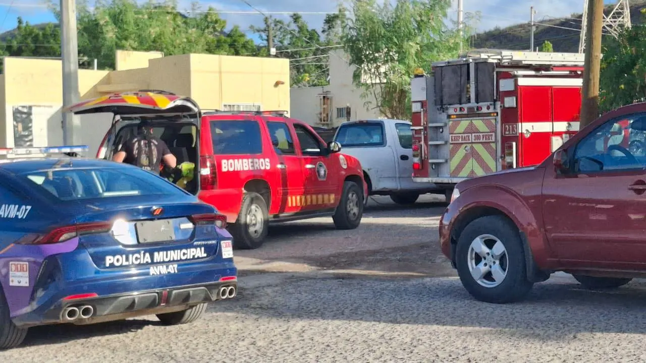 El hallazgo ocurrió en la colonia Arcoíris de La Paz. Foto: Más Noticias BCS / Facebook.