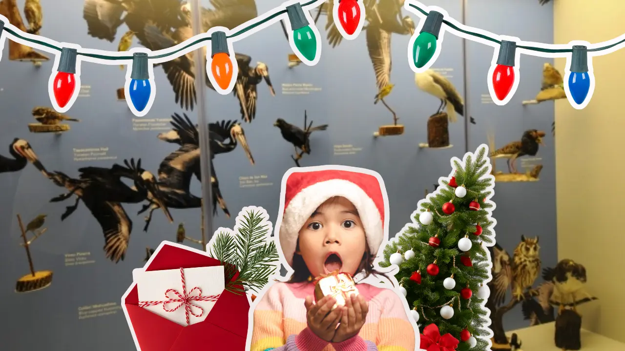 El festival comenzará el 11 de diciembre a las 5:30 p. m./ Foto: Gobierno del Estado de Coahuila| Canva