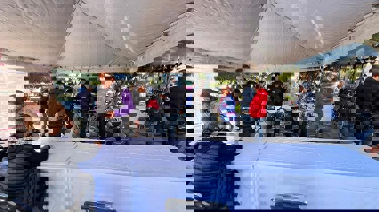 imagen-cuerpo imagen-cuerpo