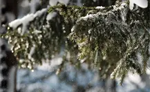 5 cosas que debes saber si pretendes viajar en invierno a La Rosilla, el congelador de México 5 cosas que debes saber si pretendes viajar en invierno a La Rosilla, el congelador de México