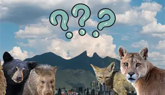 ¿Qué animal nativo de Nuevo León está más amenazado? Radiografía de su situación