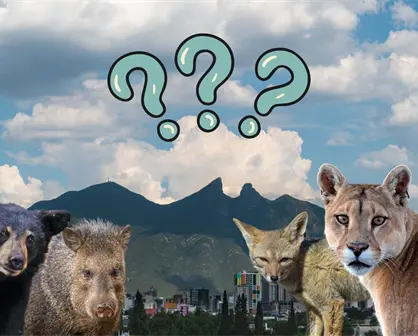 ¿Qué animal nativo de Nuevo León está más amenazado? Radiografía de su situación