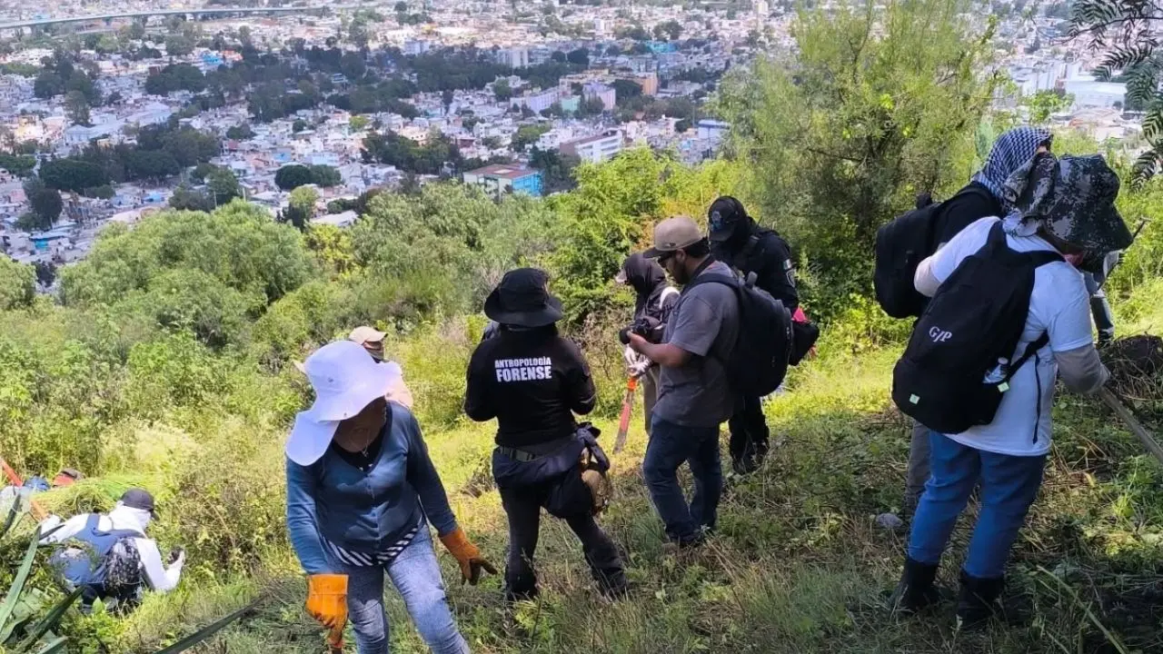 Integrantes de colectivos, familiares de personas desaparecidas y autoridades durante jordana de búsqueda en el Ajusco.  Foto: Facebook (Hasta Encontrarles CDMX)