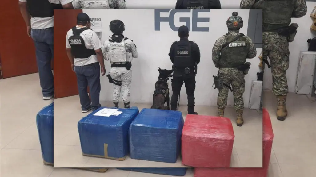 Hallan 150 kilos de marihuana en paquetería de Playa del Carmen; venían en cajas desde Michoacán