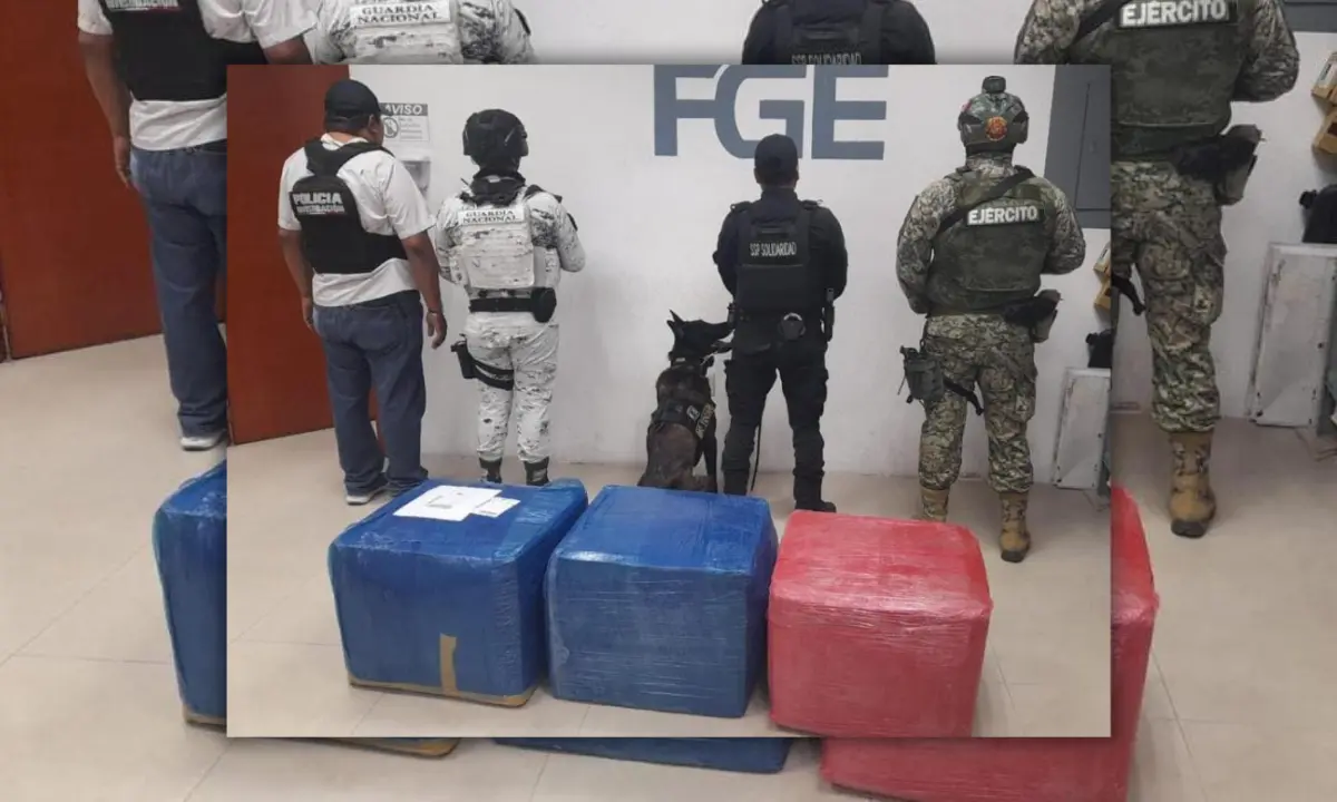 Tres cajas, con 50 kilos cada una, con un vegetal verde y seco similar a la marihuana Foto: FGE Quintana Roo