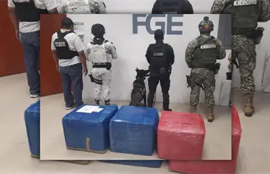 Hallan 150 kilos de marihuana en paquetería de Playa del Carmen; venían en cajas desde Michoacán