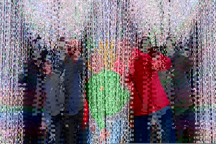 imagen-cuerpo imagen-cuerpo