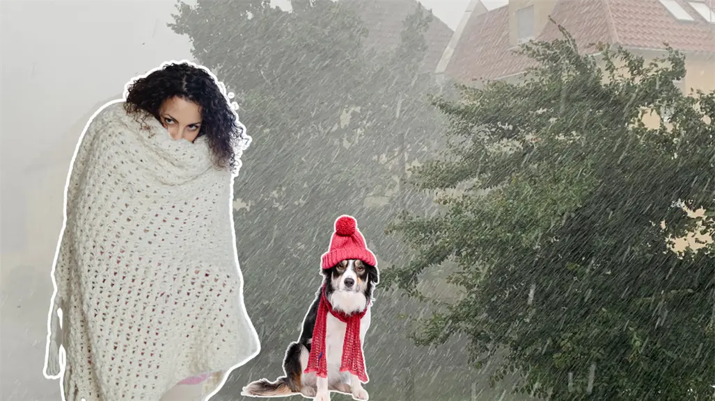 Frente frío 19: Bajas temperaturas, fuertes vientos y fuertes lluvias para Tamaulipas