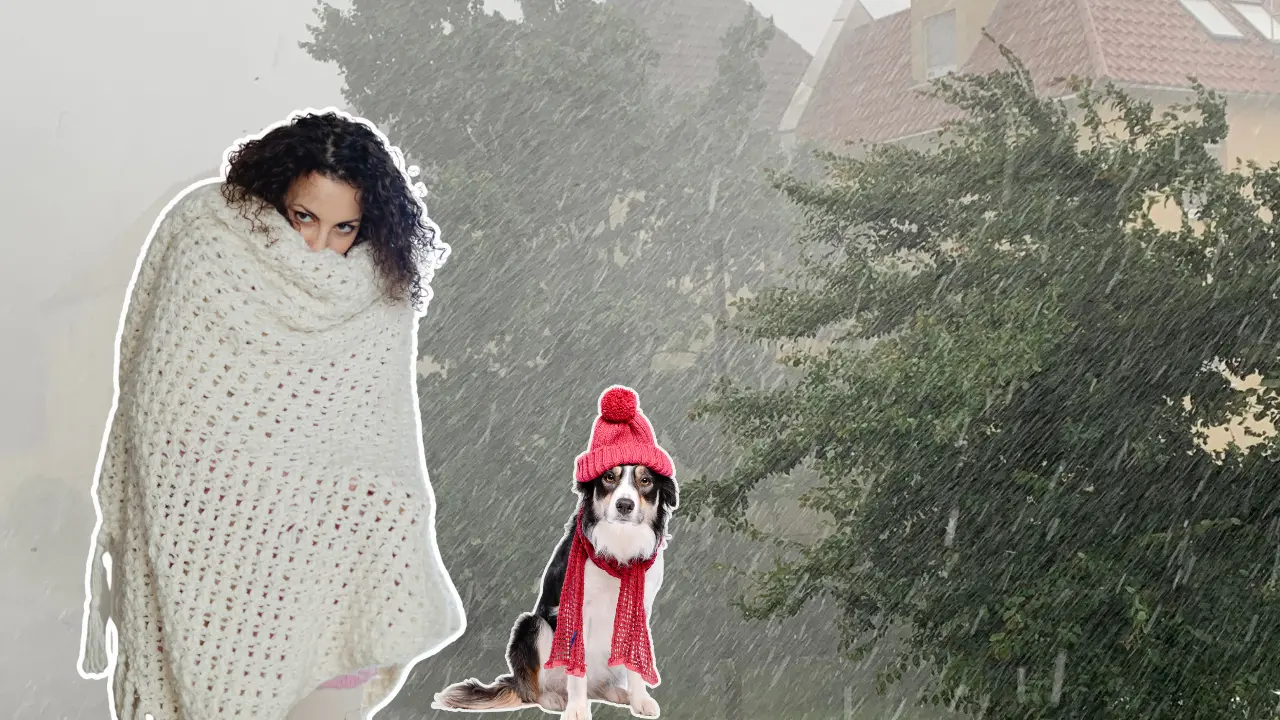 Frente frío 19: Bajas temperaturas, fuertes vientos y fuertes lluvias para Tamaulipas. FOTO | Canva