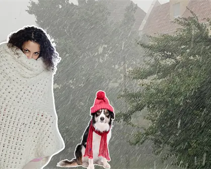 Frente frío 19: Bajas temperaturas, fuertes vientos y fuertes lluvias para Tamaulipas